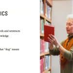 Language and Communication in the Brain