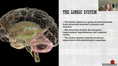 Emotion, Personality, and Social Cognition