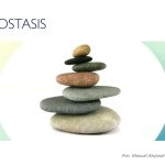Flexibilidad y Límites  Para Salud Integral