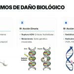 Gestión y Ctrl de Radiaciones en  Entorno Laboral